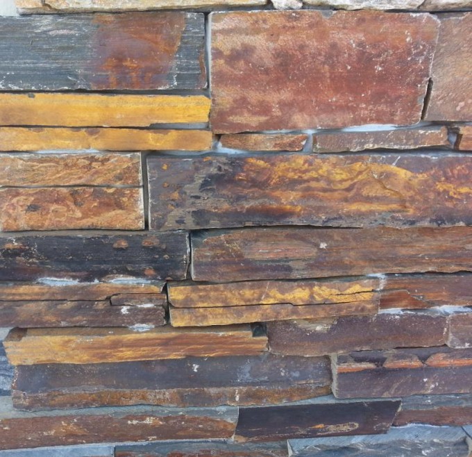 Ardesia multicolor rustica