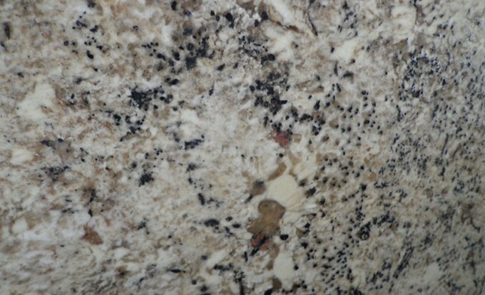 Delicatus A