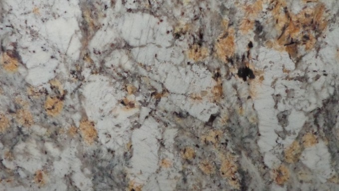 Delicatus G