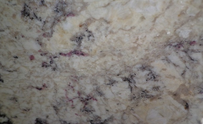 Roma Delicatus